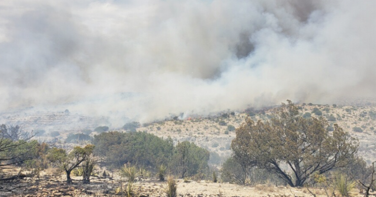 Over 11,000 Acres Burned in West Texas Wildfire